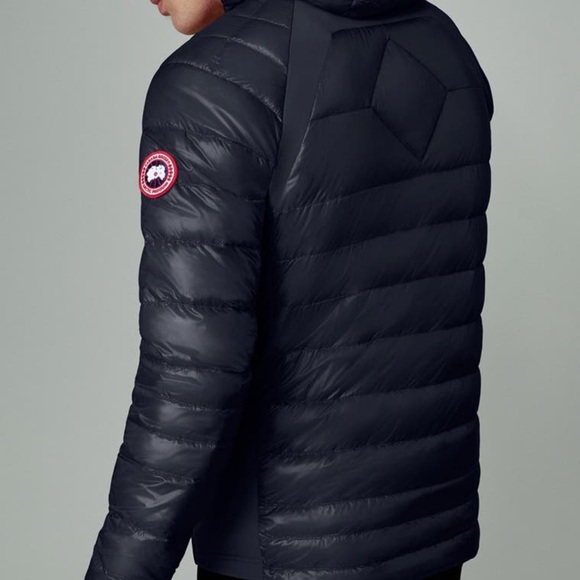 Cansa goose - Picture 2 of 16